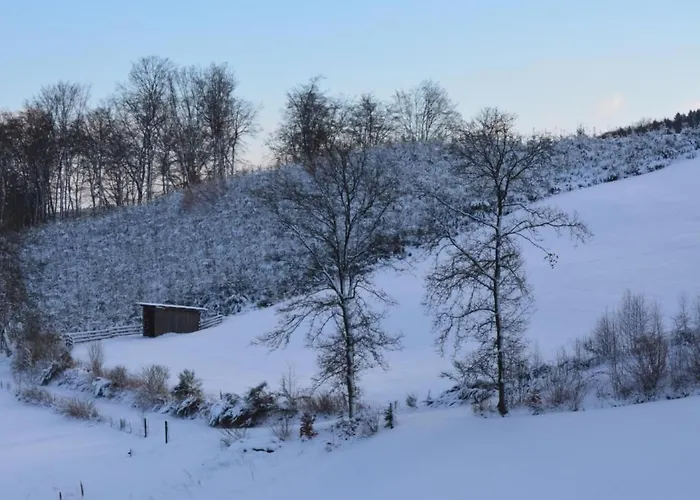 Appartement In Feldmannshof Mit Grill Und Garten By Interhome *