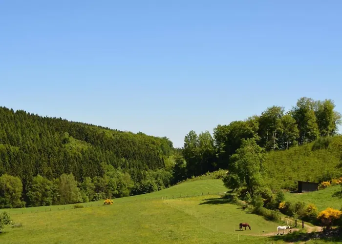 In Feldmannshof Mit Grill Und Garten By Interhome Appartement Drolshagen