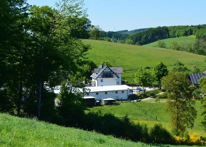 Appartement In Feldmannshof Mit Grill Und Garten By Interhome *