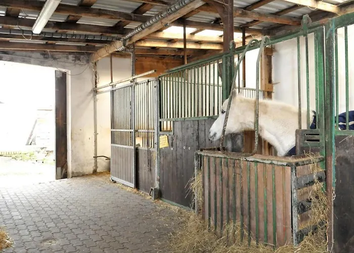 In Feldmannshof Mit Grill Und Garten By Interhome * Drolshagen